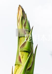 昆明本地呈贡区刑事律师咨询电话 昆明本地呈贡区刑事律师咨询电话