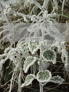 昆明本地找债务合同律师推荐 昆明本地找债务合同律师推荐