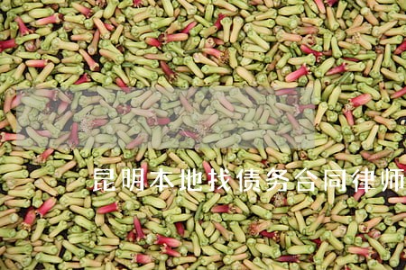 昆明本地找债务合同律师收费标准 昆明本地找债务合同律师收费标准