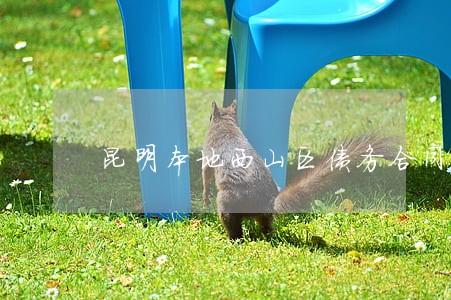 昆明本地西山区债务合同律师团队 昆明本地西山区债务合同律师团队