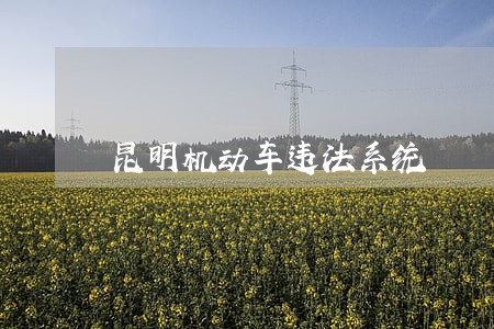昆明机动车违法系统 昆明机动车违法系统