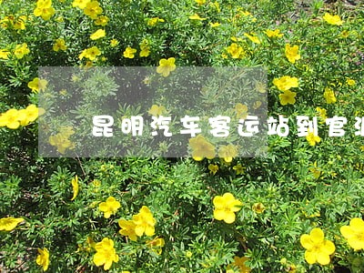 昆明汽车客运站到官渡法院怎么走