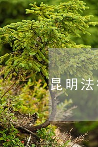 昆明法律咨询多少钱 昆明法律咨询多少钱
