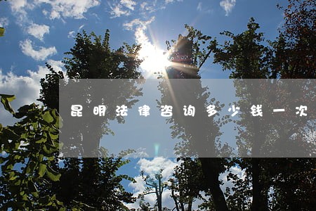 昆明法律咨询多少钱一次 昆明法律咨询多少钱一次