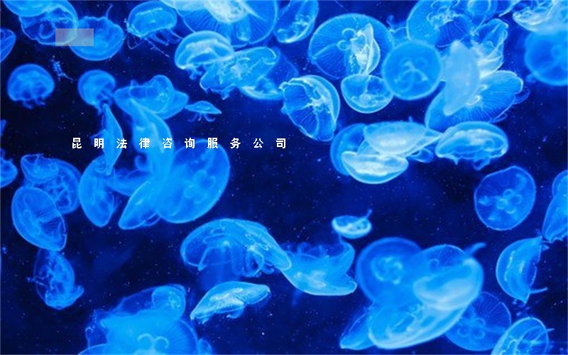 昆明法律咨询服务公司 昆明法律咨询服务公司