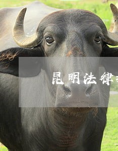 昆明法律援助热线电话 昆明法律援助热线电话