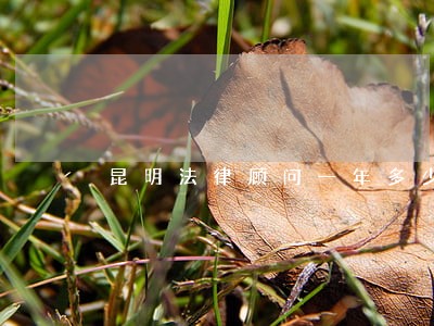 昆明法律顾问一年多少钱 昆明法律顾问一年多少钱