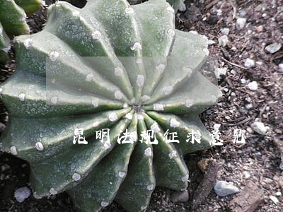 昆明法规征求意见