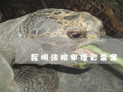 昆明法院审理彩票案 昆明法院审理彩票案
