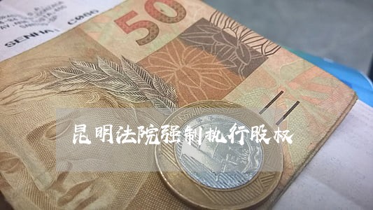昆明法院强制执行股权