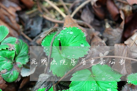 昆明法院房屋变卖公告