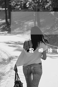 昆明法院执行局电话