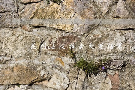 昆明法院拍卖处置结果 昆明法院拍卖处置结果