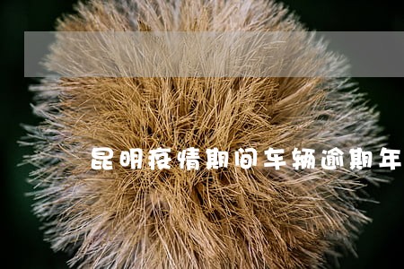 昆明疫情期间车辆逾期年检