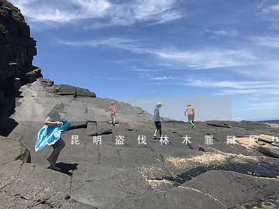 昆明盗伐林木罪辩护纠纷律师 昆明盗伐林木罪辩护纠纷律师