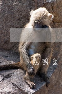 昆明盘龙区债务专业律师 昆明盘龙区债务专业律师