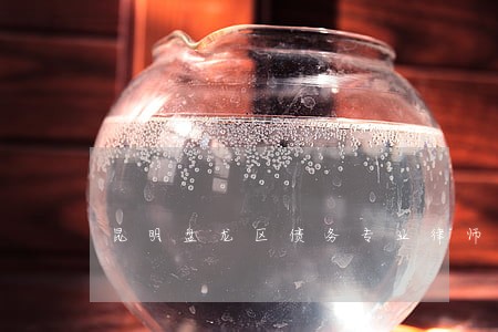 昆明盘龙区债务专业律师所地址 昆明盘龙区债务专业律师所地址