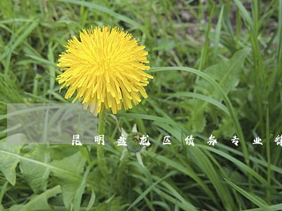 昆明盘龙区债务专业律师预约 昆明盘龙区债务专业律师预约
