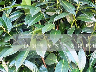 昆明盘龙区债务律师哪个好 昆明盘龙区债务律师哪个好