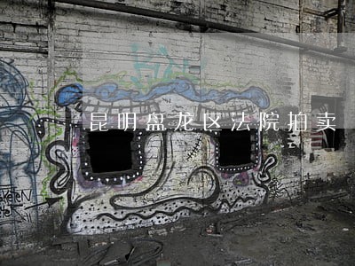 昆明盘龙区法院拍卖 昆明盘龙区法院拍卖