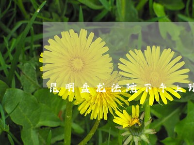昆明盘龙法院下午上班时间