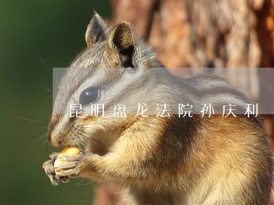 昆明盘龙法院孙庆利 昆明盘龙法院孙庆利