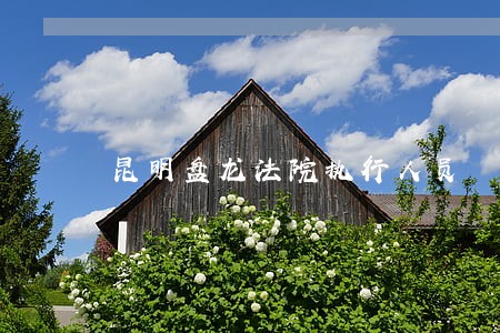 昆明盘龙法院执行人员 昆明盘龙法院执行人员