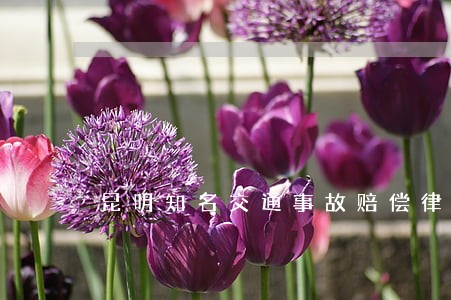 昆明知名交通事故赔偿律师价格 昆明知名交通事故赔偿律师价格