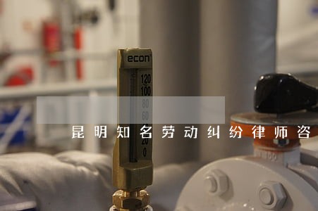 昆明知名劳动纠纷律师咨询热线 昆明知名劳动纠纷律师咨询热线