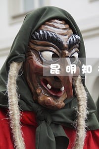 昆明知名工程律师事务所免费咨询