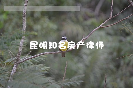 昆明知名房产律师 昆明知名房产律师