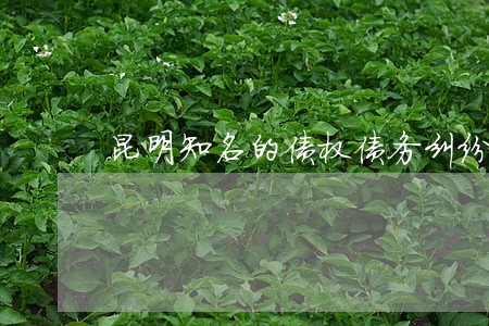 昆明知名的债权债务纠纷律师案件 昆明知名的债权债务纠纷律师案件