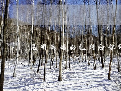 昆明离婚彩礼纠纷律师法律服务 昆明离婚彩礼纠纷律师法律服务