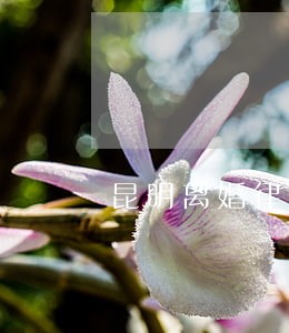 昆明离婚律师代理 昆明离婚律师代理