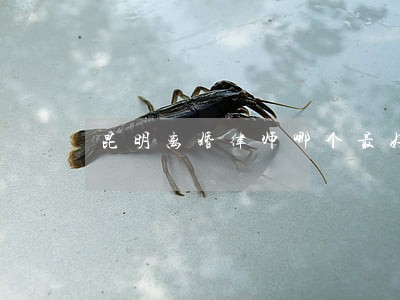 昆明离婚律师哪个最好 昆明离婚律师哪个最好