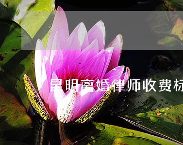 昆明离婚律师收费标准 昆明离婚律师收费标准