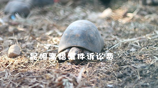 昆明离婚案件诉讼费 昆明离婚案件诉讼费