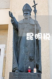 昆明税务逾期处理 昆明税务逾期处理