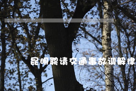 昆明聘请交通事故调解律师 昆明聘请交通事故调解律师
