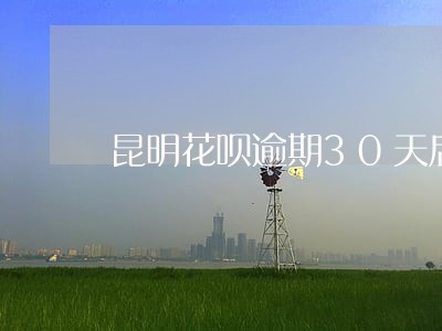 昆明花呗逾期30天后果 昆明花呗逾期30天后果