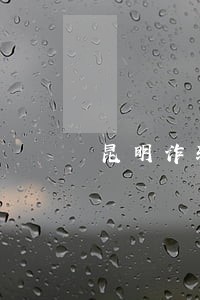 昆明诈骗案律师价格