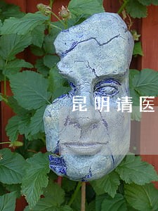 昆明请医疗官司律师 昆明请医疗官司律师