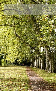 昆明资深医疗纠纷案件律师 昆明资深医疗纠纷案件律师