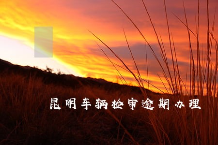 昆明车辆检审逾期办理 昆明车辆检审逾期办理