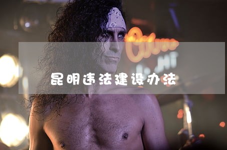 昆明违法建设办法