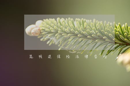 昆明退保险法律咨询 昆明退保险法律咨询