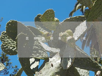 昆明逾期车贷被收 昆明逾期车贷被收