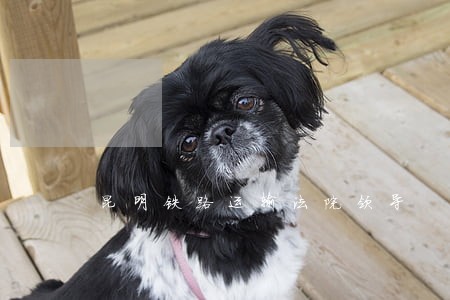 昆明铁路运输法院领导