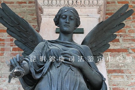 昆明锦康司法鉴定中心地址