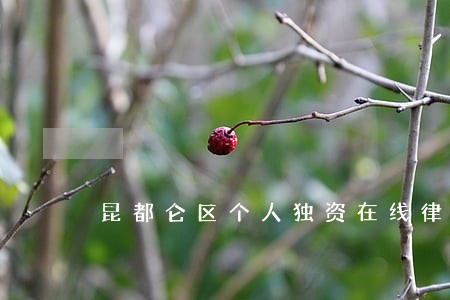 昆都仑区个人独资在线律师 昆都仑区个人独资在线律师